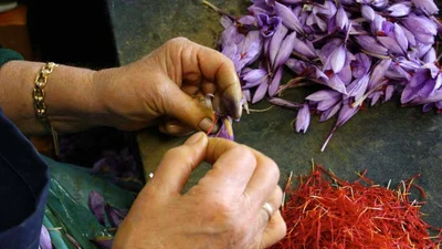 Улюблені вами продукти до того, як вони потраплять на прилавок магазину