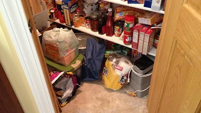 Кумедний тест на уважність: знайди кота