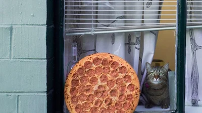 Чоловік фотографує піцу і називає це "мистецтвом"