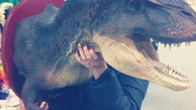 Шалено незвичайні знахідки в стокових магазинах