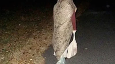 Не варто повторювати: безглузді костюми на Геловін