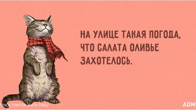 Смішні листівки для тих, хто остаточно замерз