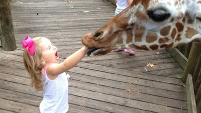 Тварини показали дітям, хто тут головний