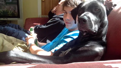 Смішні тварини, які шалено схожі на господарів