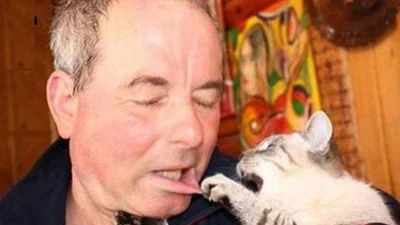 Коти, які не хочуть мати нічого спільного з твоїми фото