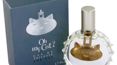 ТОП найбезглуздіших винаходів для тварин