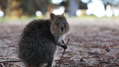 20 лучших фото природы и людей за последнее время