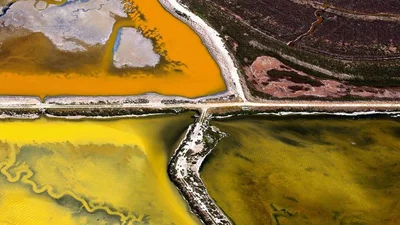 Красота дикой природы от National Geographic за 2015 год