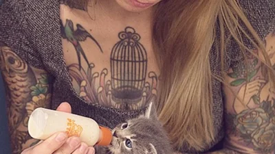 Велике серце: дівчина рятує кошенят