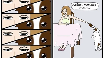 У паралельній реальності: життя очима собаки