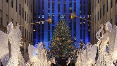 Самые красивые и необыкновенные рождественские елки мира