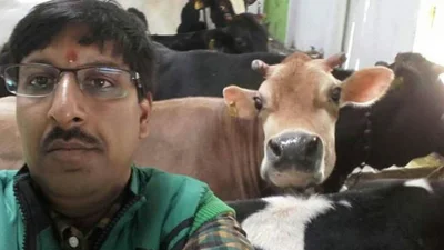 Забавный тренд в Индии - делать селфи с коровами
