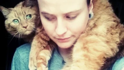 Тварини, які прикинулися теплими шарфиками