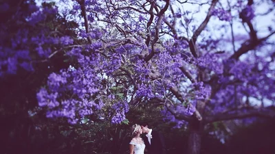 11 вещей, которые вам необходимо знать перед свадьбой