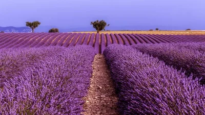 Радует глаз: 10 самых разноцветных мест на планете