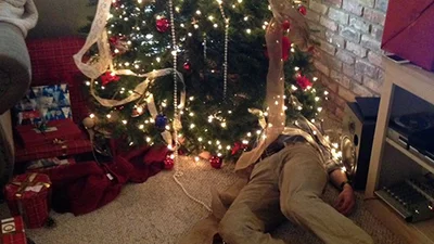 Новорічні ялинки, які зазнали поразки