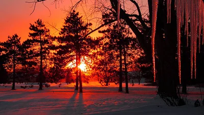 Необычно красивый зимний закат перехватывает дыхание