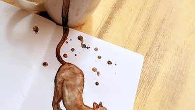 Вот, что будет, если сорты кофе станут котиками