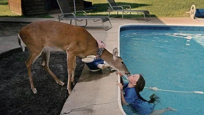 Ця дівчинка викличе заздрість кожного любителя тварин