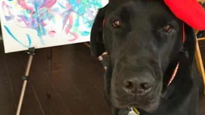 Собака в берете рисует картины для благотворительности  