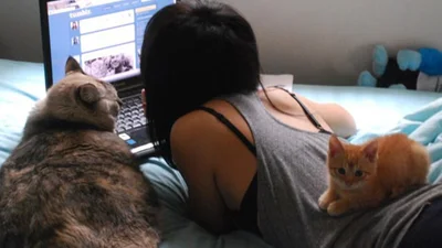 Коли ти і кіт - одне ціле