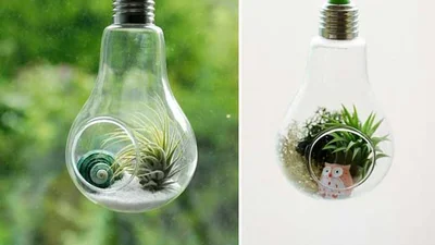 Як не викидати старі лампочки та зробити із них дизайнерські штуки