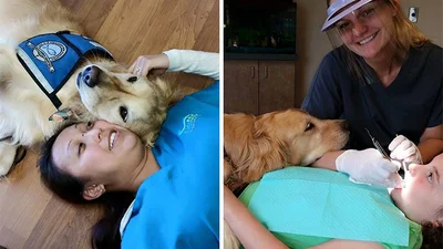 Цей стоматолог найняв пса, щоб той заспокоював дітей