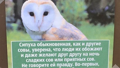 Найсмішніші вигадані факти про тварин в зоопарку