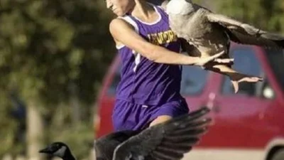 Не пощастило: унікальні фото, зроблені за секунду до смішної халепи