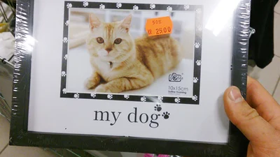 Неймовірно безглузді фейли в супермаркетах