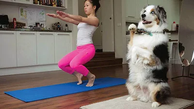 Ці тварини займаються йогою краще, ніж ти