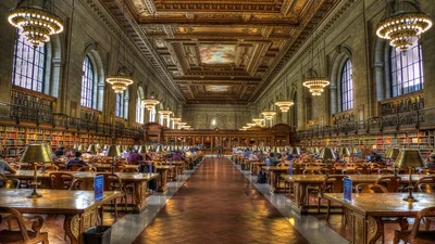 Сила мистецтва й книги: розкішні бібліотеки світу, які ти захочеш побачити