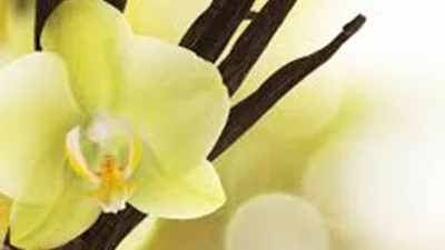 Знайдено аромат, який зведе з розуму всіх чоловіків