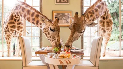 Шокуючі ресторани, які варто відвідати хоч раз у житті