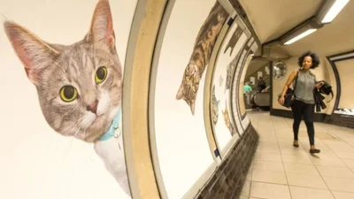 Лондонське метро захопили милі коти 