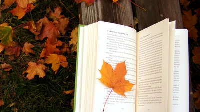 10 моторошних книг, що налякають вас на Хелловін