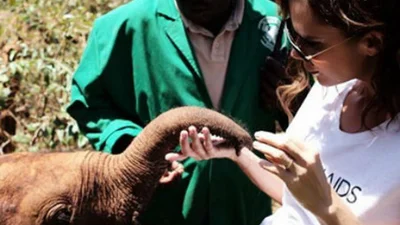 Зіркові вихідні: Бекхем з слоненятами, Джей Ло з сином та інші