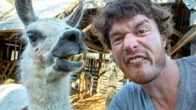 Цікаві мандри: чоловік робить кумедні селфі з тваринами