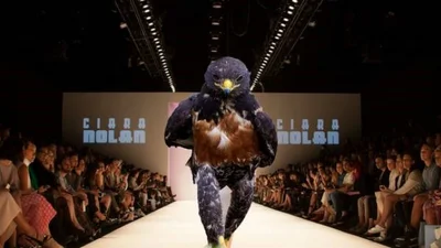 Надто суворий птах підірвав мережу