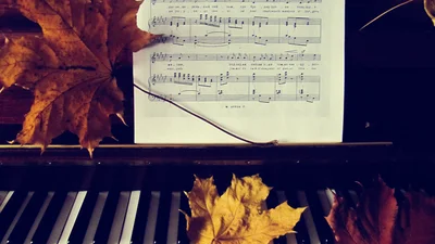 ТОП 10 пісень, які покращать ваш осінній настрій