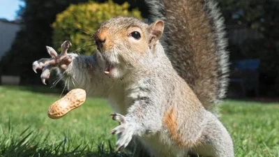 Проста випадковість: ці знімки здивують вас ідеальним моментом