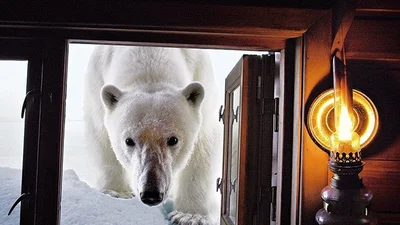 National Geographic показав свої найпопулярніші фото