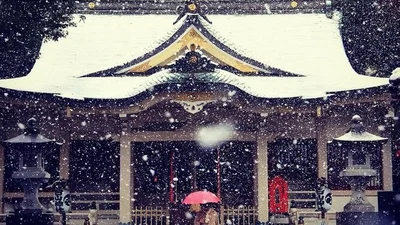 50 років без снігу: Токіо вразив раптовий снігопад 
