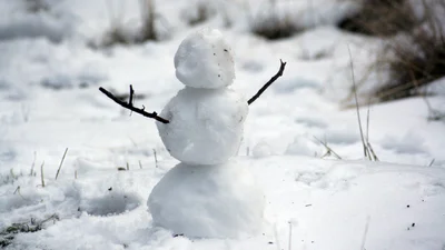 Зимові веселощі: ви повинні зліпити таких сніговиків