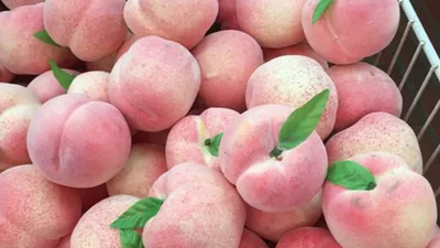 10 міфів про анальний секс, в які не треба вірити