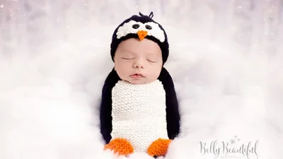 Мімімі: новонароджені малята у першій різдвяній фотосесії