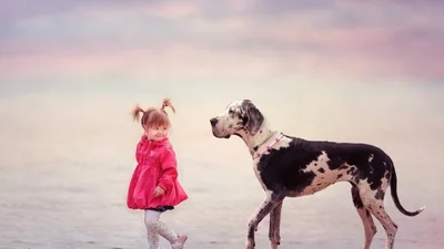 Best-друг: зворушлива фотосесія дітей та їхніх собак