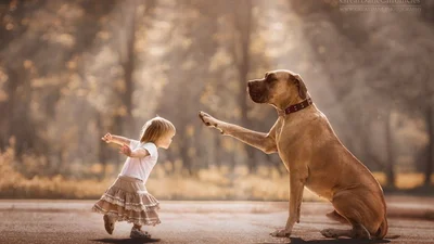 Маленькі діти і їх великі собаки: крутий фотопроект, в який ви закохаєтесь