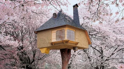 Вражаючі будинки на деревах, у яких хотів би жити кожен