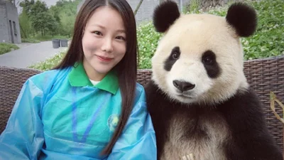 Кумедна панда, яка вміє робити відпадні селфі